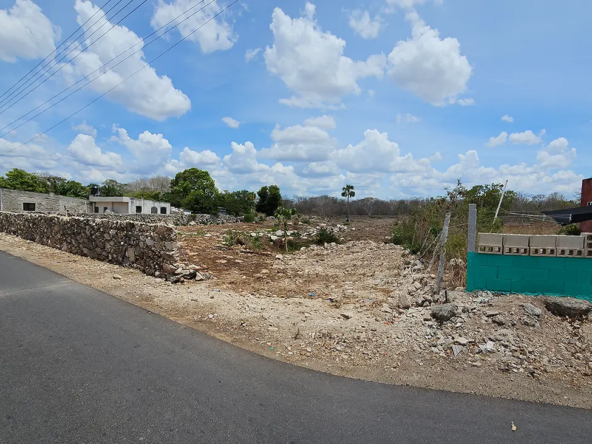 terreno municipio de baca zetina inmueble